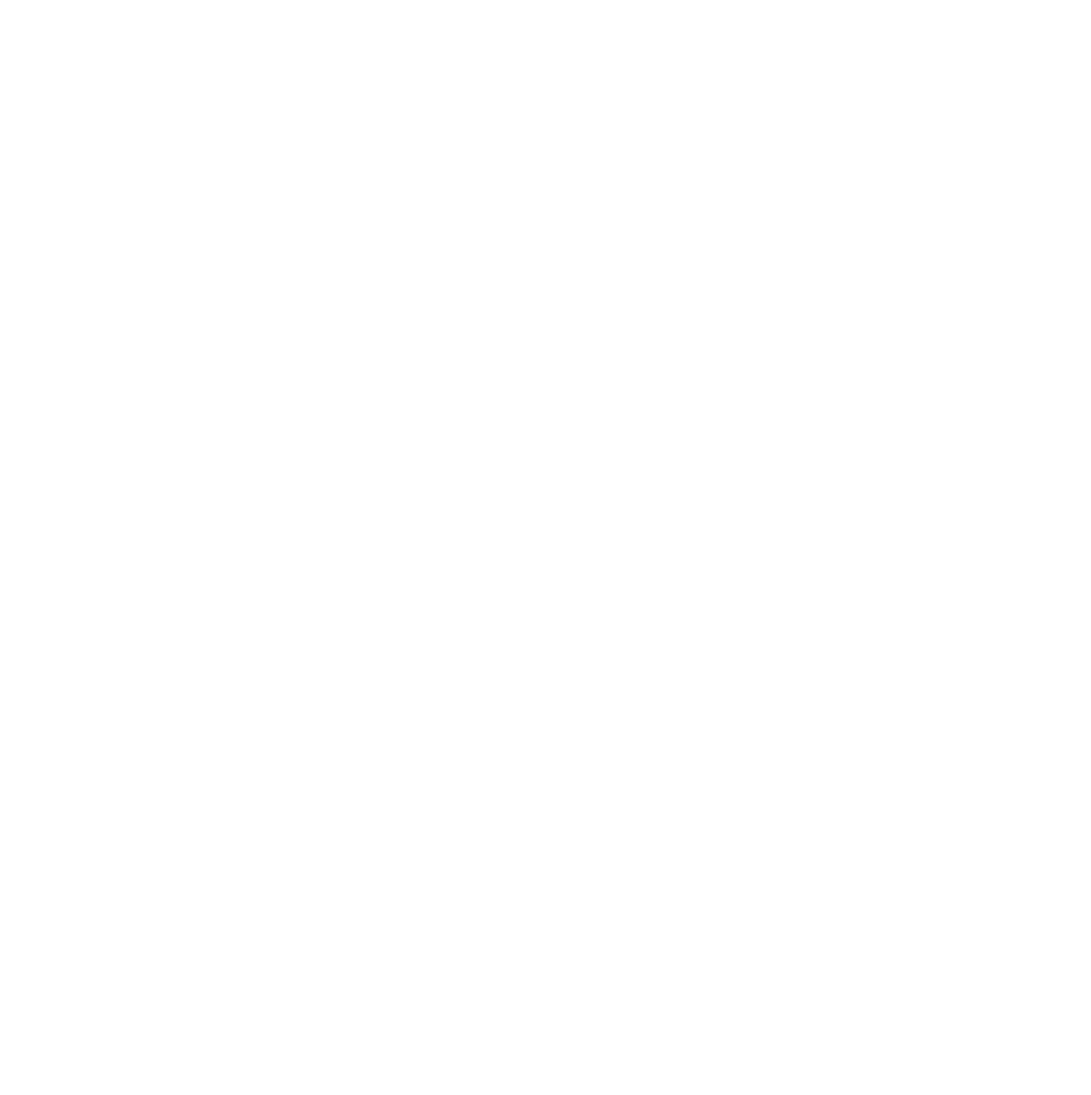 echoes in ink - logo(1)-02